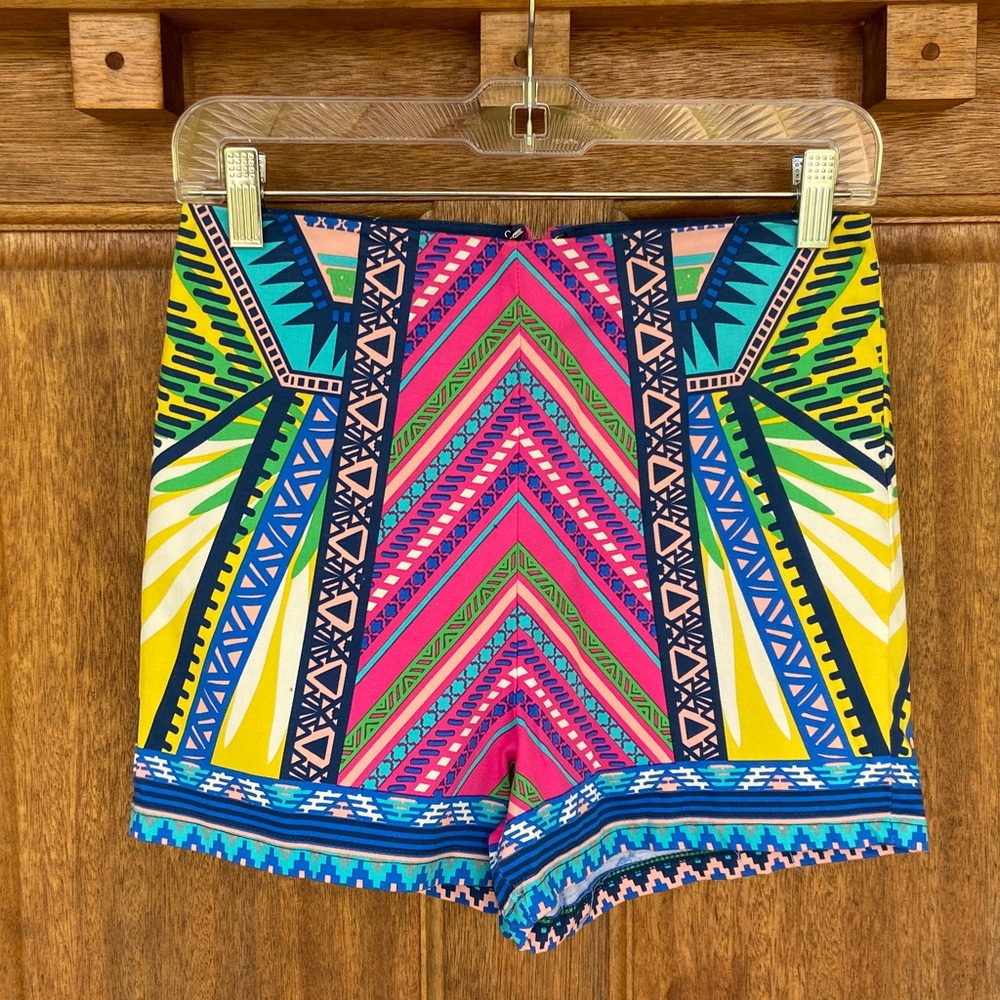 Flying Tomato | Bright, colorful design shorts, M